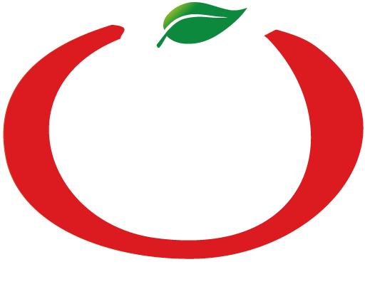 Logo_JDT2024_Textes_Blanc_Fond_Fonce
